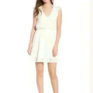 Cupcakes and Cashmere Daily Lace Dress